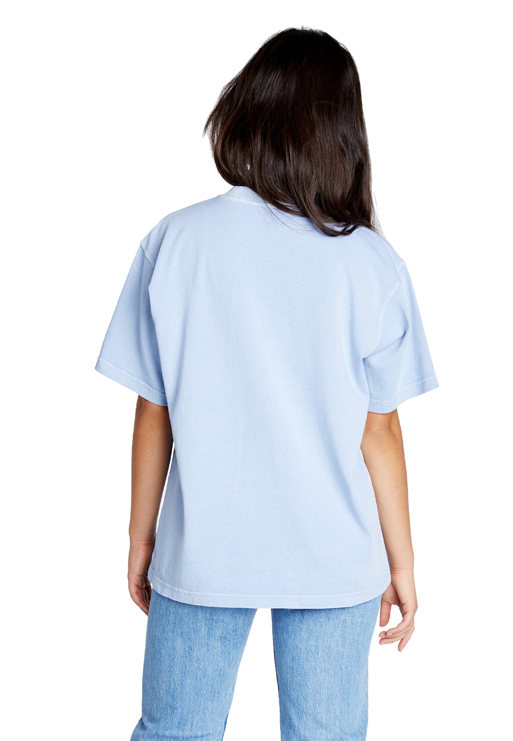 75b98230-8ff6-45de-af51-53dfd5feef87/LS16005-W-Urban-Heavy-Tee-Grape-Ice-Back.jpg
