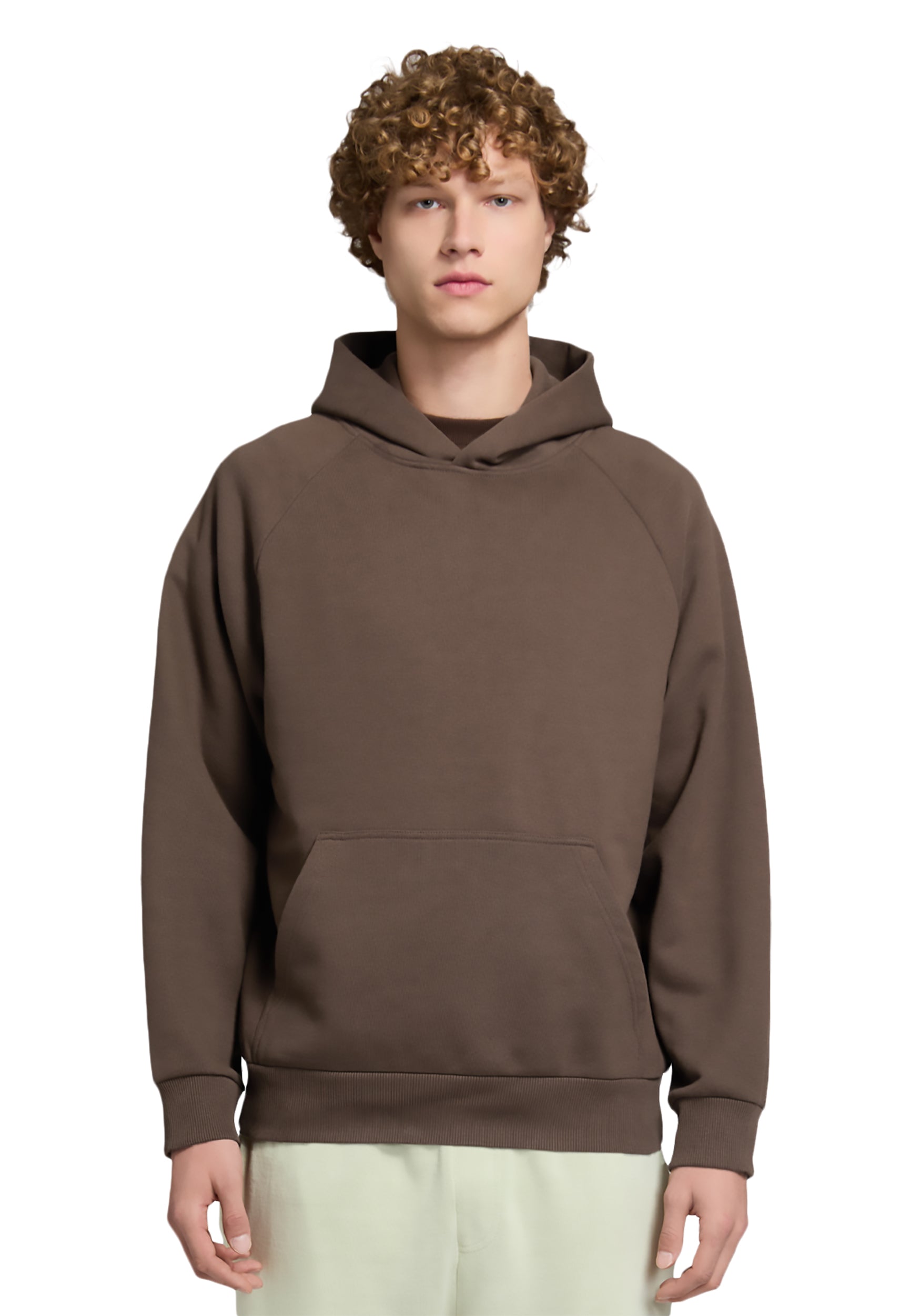 2bdc77ee-37a7-4eb4-9aa9-0c815dc11f78/LS17001-M-Heavy-Core-Hoodie-Chocolate-Brown-Front.jpg