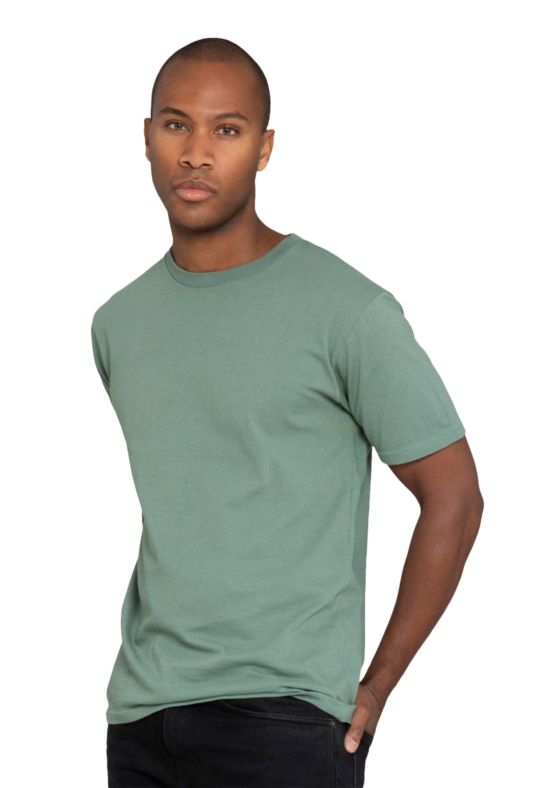 5c3a568a-3296-4fd2-8ecd-67ec1345fd4d/Lane-Seven-LS15001-M-Urban-Heavyweight-Tee-Sage-Side-scaled.jpg