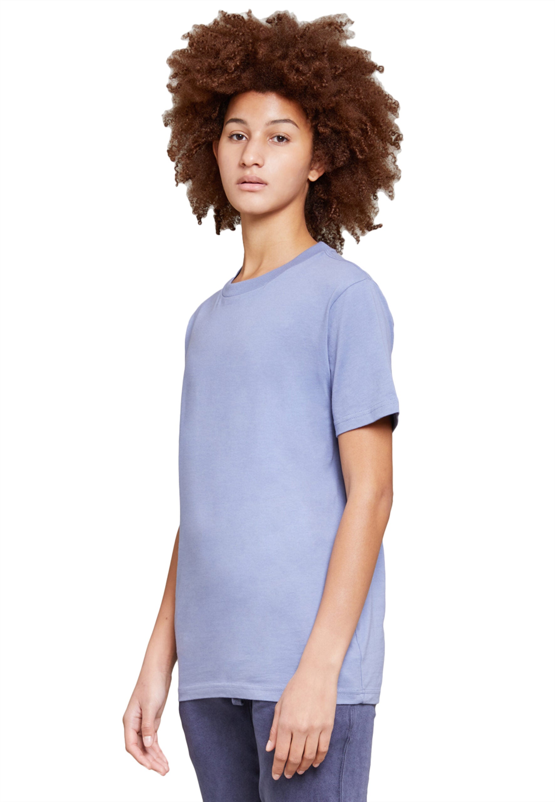0bb17a33-1eab-48a6-9460-5fac5697dff8/Lane-Seven-LS15001-W-Urban-Heavyweight-Tee-Colony-Blue-Side-scaled.jpg