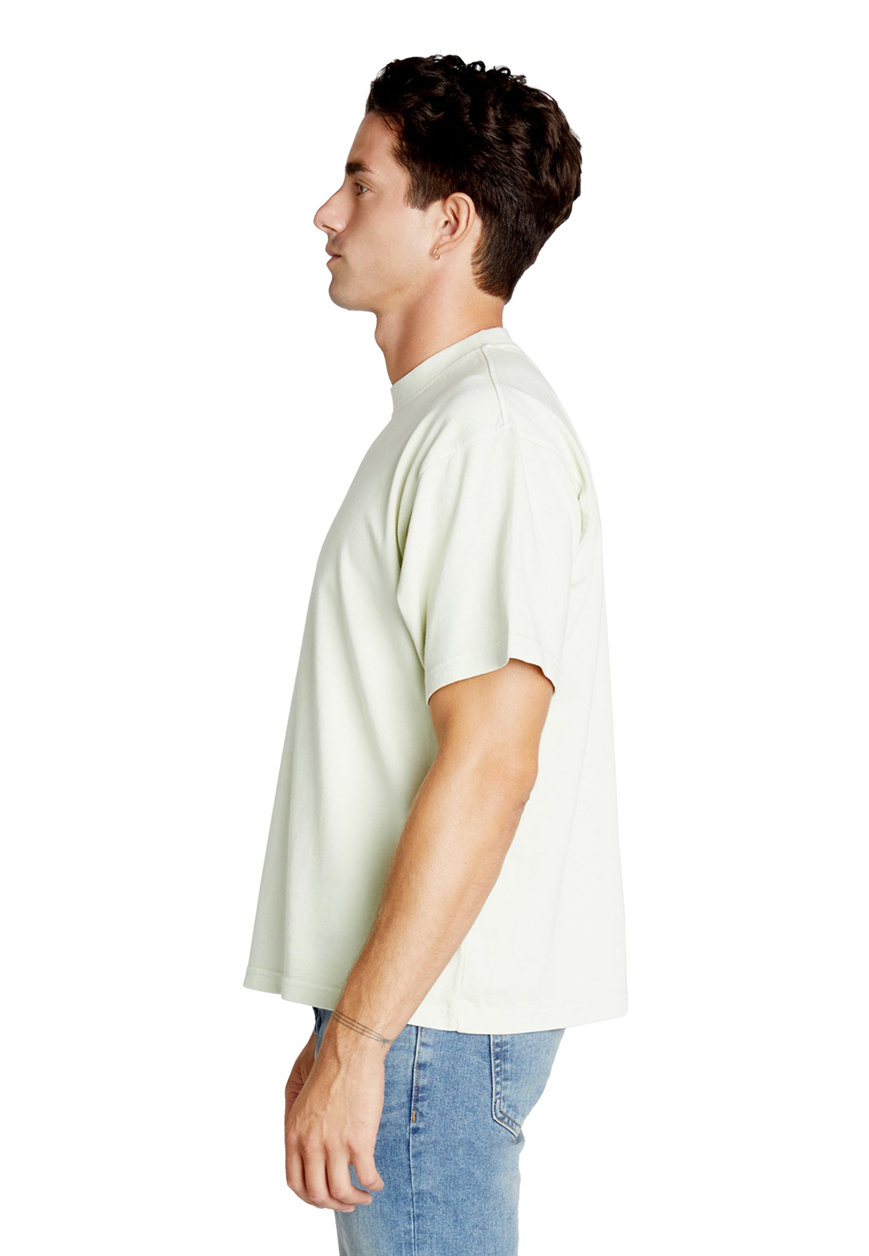 58aa5518-4359-4af1-8b3d-b97a437c0eb0/Lane-Seven-LS16005-M-Heavyweight-Pigment-Tee-Pistachio-Side.jpg