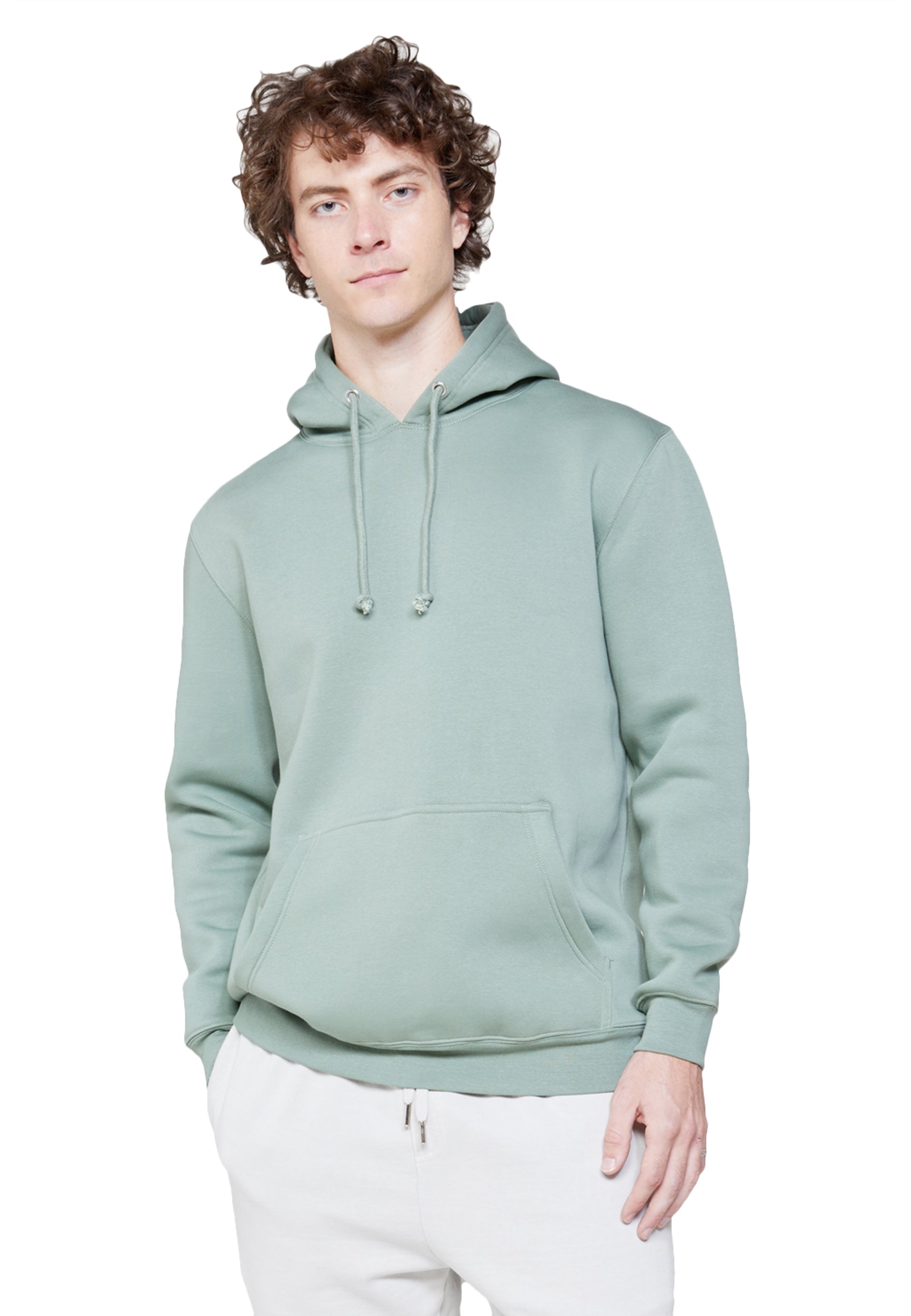 34444a14-de2e-4e77-aa57-ba8bafdba308/Lane-Seven-LS19001-M-Heavyweight-Hoodie-Sage-Front.jpg